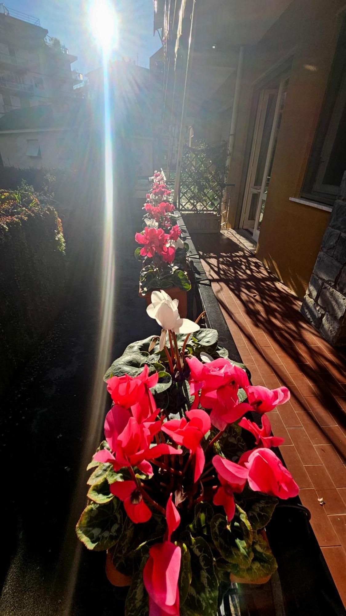 Casa Con Giardino Vicino Al Mare Apartment Rapallo Exterior foto